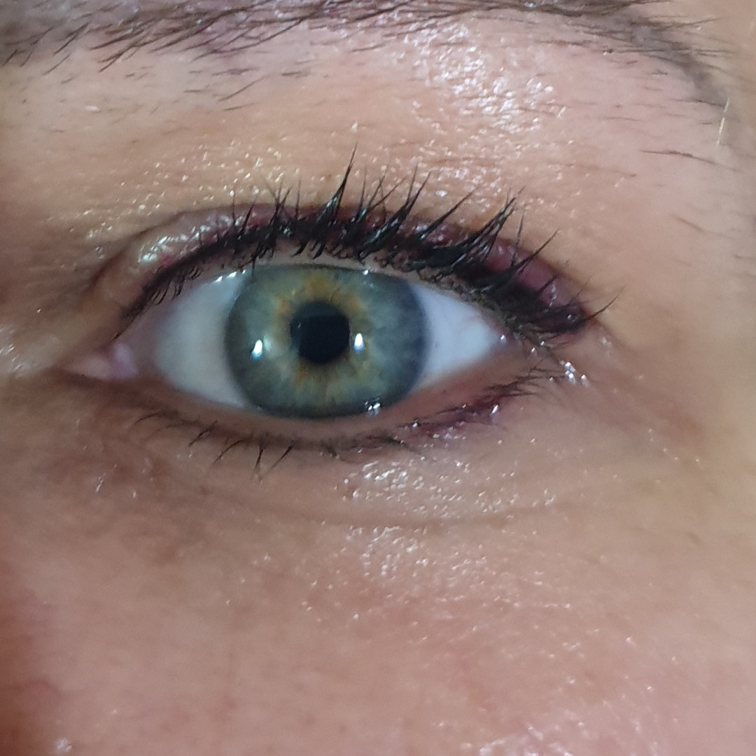 Linico #zagreb Trajna šminka Eyeliner  tanka crta - donji kapak-2 termina