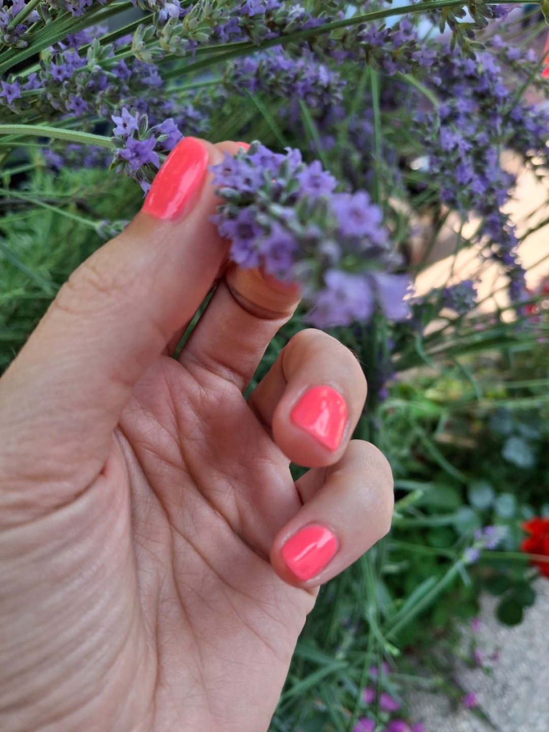 Ayu Beauty #rijeka Gel lak Trajni lak - ruke