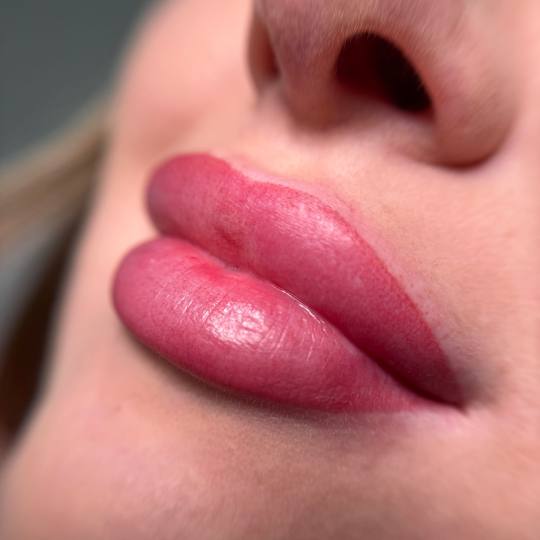 Irina beauty #zagreb Trajna šminka Trajna šminka - usne