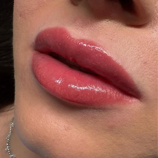 Moel beauty #zagreb Trajna šminka Mikropigmentacija usana /Lip blush