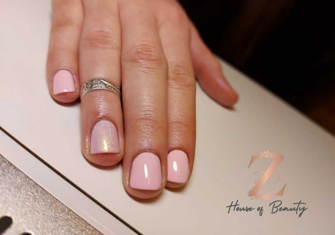 Z House of Beauty #zagreb