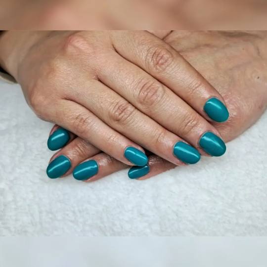 Posh Palace #velika-gorica Gel lak Trajni lak - ruke / noge