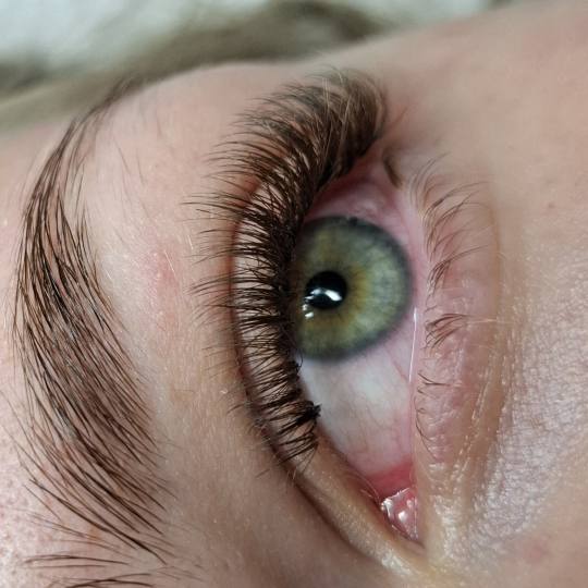 Jasmine beauty #zagreb Nadogradnja trepavica Ugradnja trepavica Lagane smeđe prozračne trepavice k