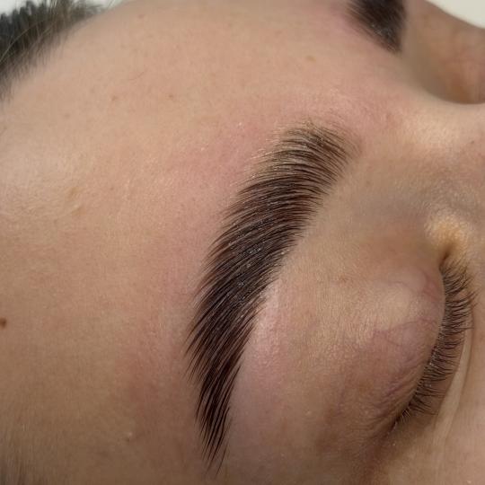 STUDIO NÉA #zagreb Trepavice Brow lift - boja + threading