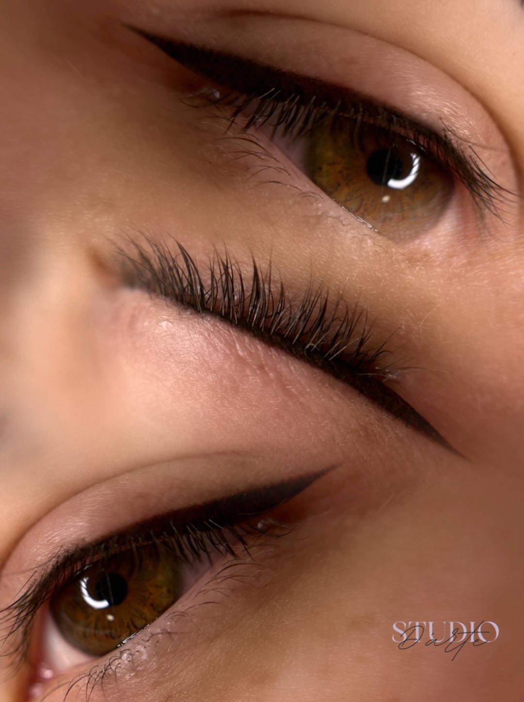 D'Arte Beauty Studio #velika-gorica Trajna šminka