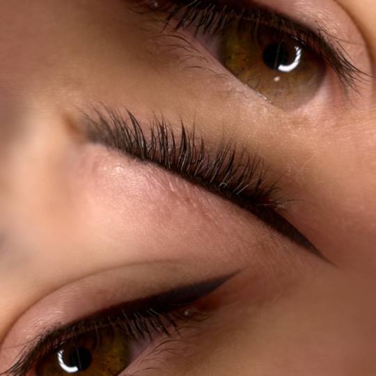 D'Arte Beauty Studio #velika-gorica Trajna šminka