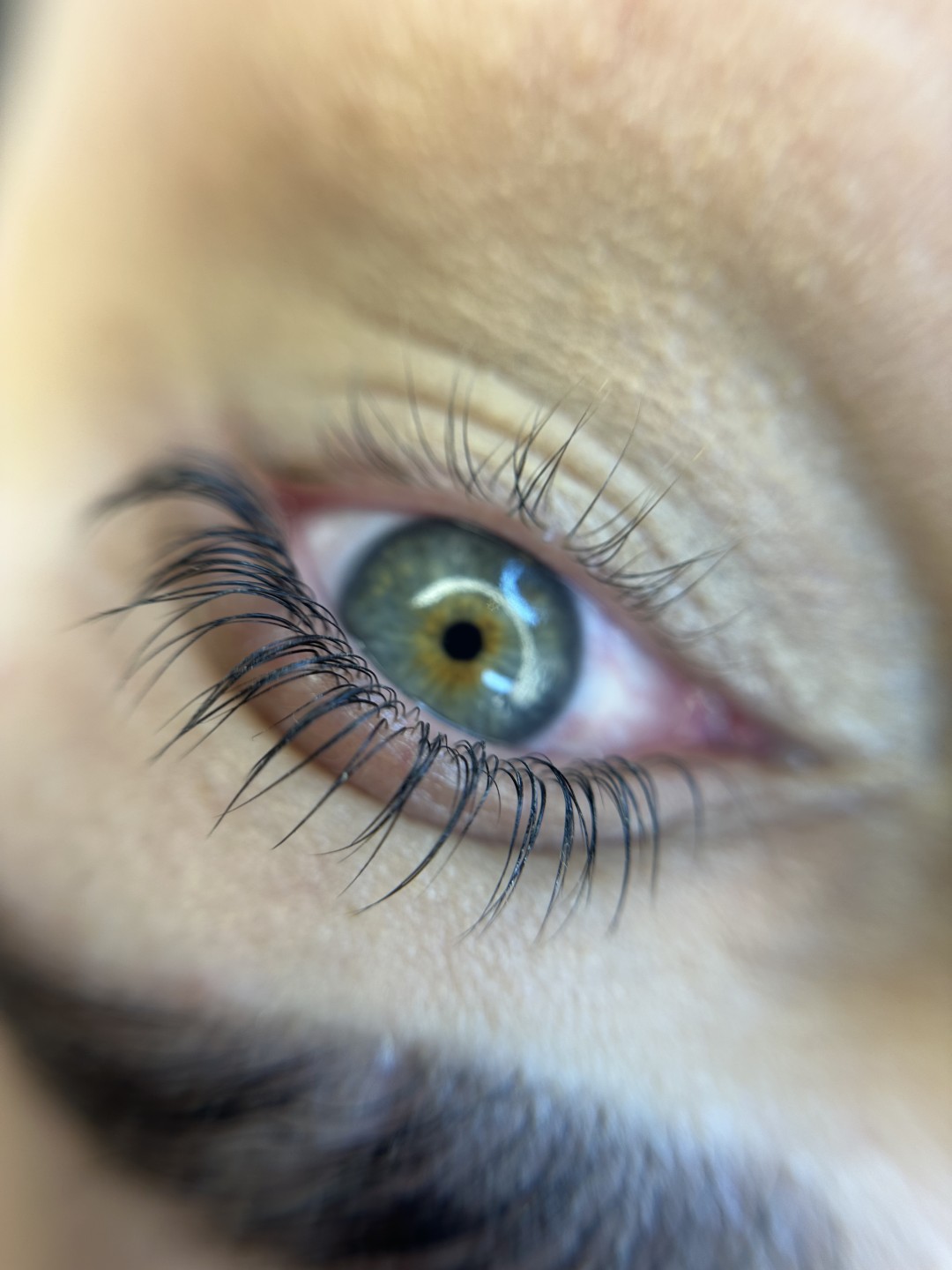 SABRINA STRIJA BEAUTY & SPA #zagreb Trepavice Lash lift