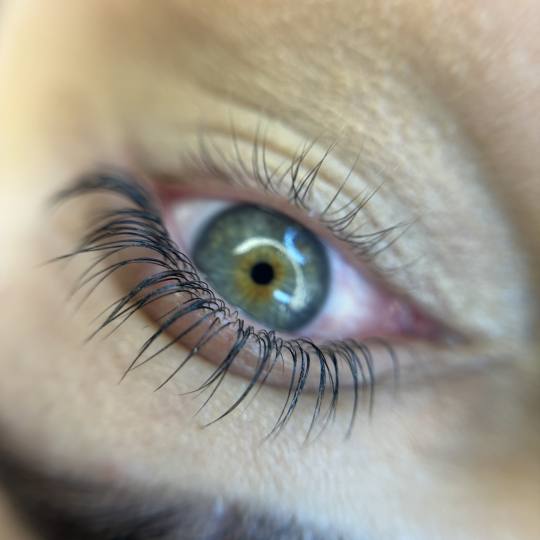 SABRINA STRIJA BEAUTY & SPA #zagreb Trepavice Lash lift