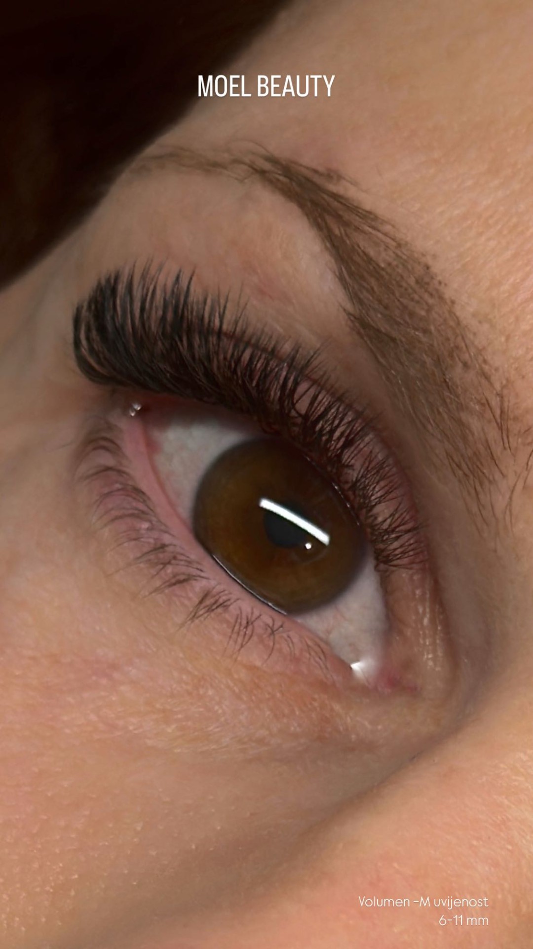 Nadopuna volumenskih trepavica - do 3 tjedna - MOELL beauty, Zagreb Nadogradnja trepavica Lice Nadogradnja trepavica, Zagreb, Peščenica – Žitnjak