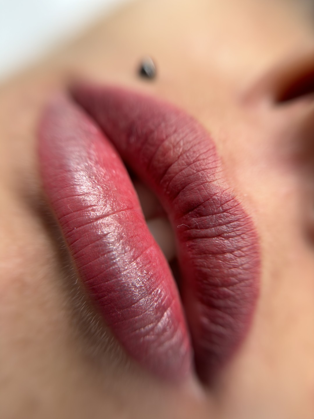 Stellaria beauty studio #velika-gorica Trajna šminka Lip blush