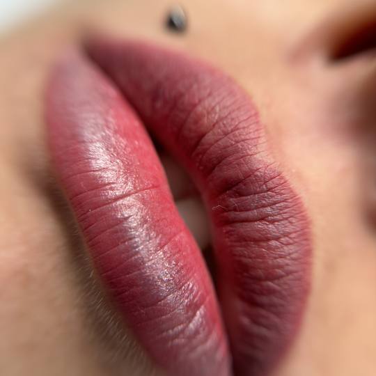 Stellaria beauty studio #velika-gorica Trajna šminka Lip blush