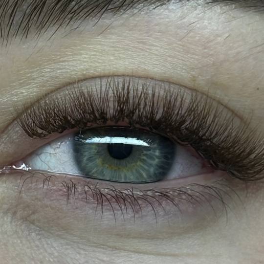 Sis Beauty Room #zagreb Nadogradnja trepavica Ugradnja volumenskih trepavica Smeđi volumen