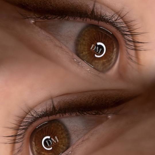 D'Arte Beauty Studio #velika-gorica Trajna šminka