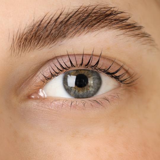 Aromavita Bella Donna #varazdin Obrve Brow lift Brow Lift je tretman podizanja i oblikovanja prirodn