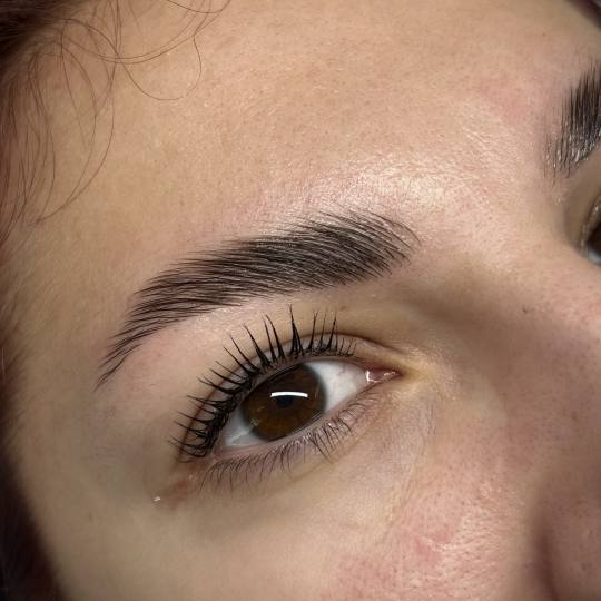 Zen Spot #zagreb Obrve Lash lift + brow lift + bojanje