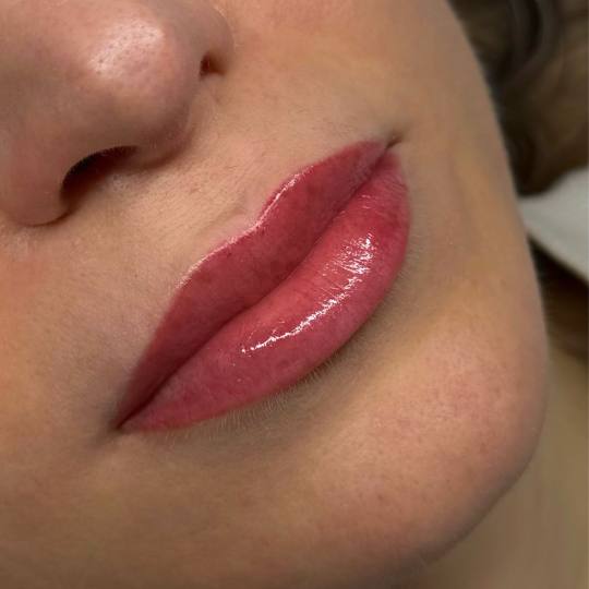 MOELL beauty #zagreb Trajna šminka Mikropigmentacija usana /Lip blush