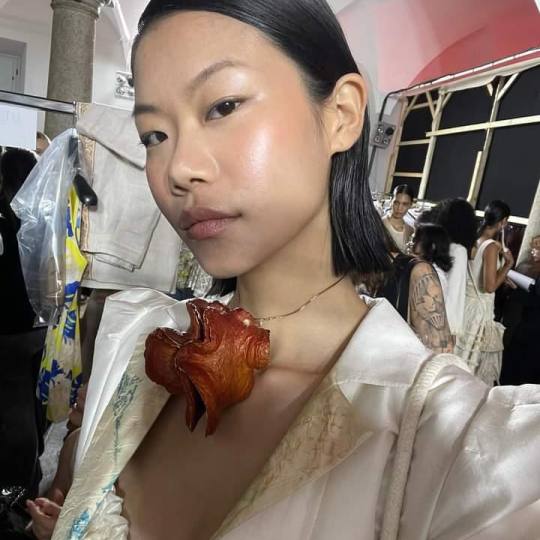 Sofija's mess usluga