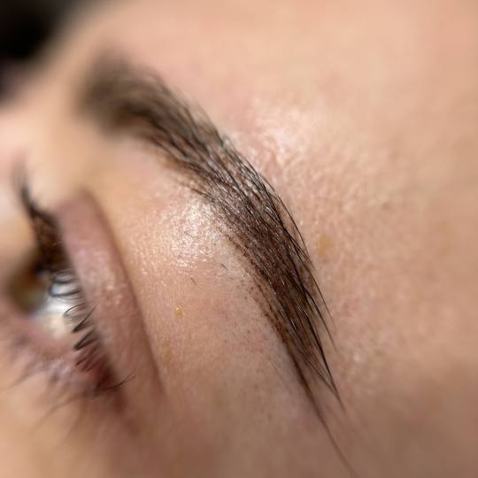 SABRINA STRIJA BEAUTY & SPA #zagreb Trajna šminka PMU realistic brows