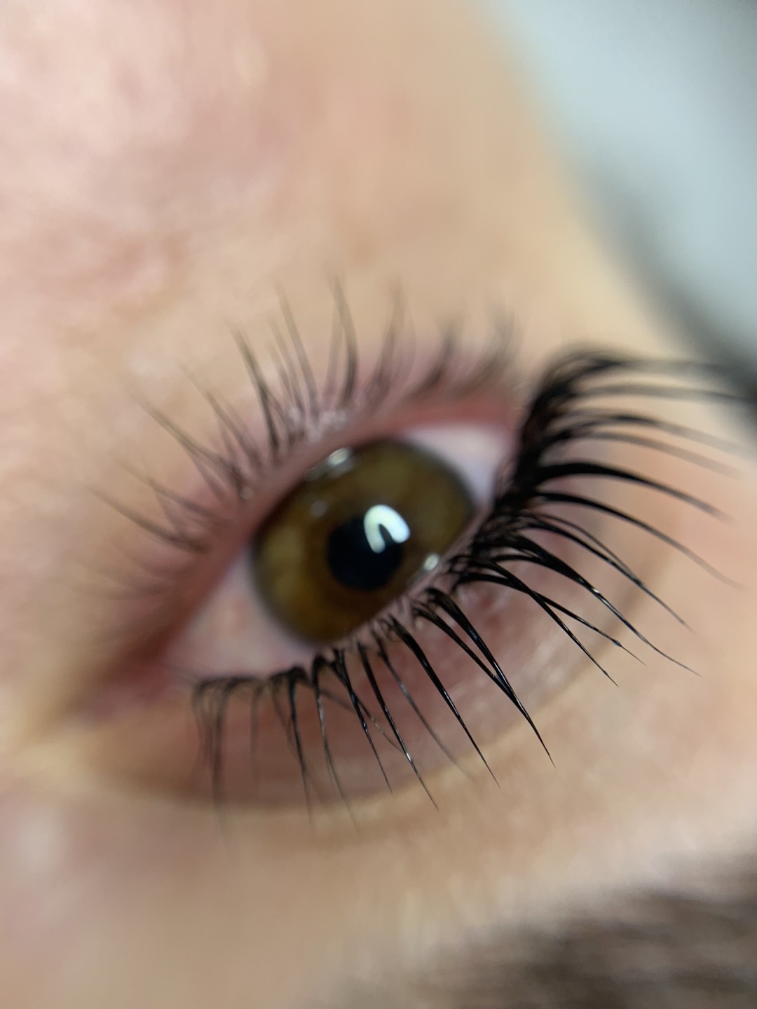 Mint Beauty Boutique #zagreb Trepavice Lash lift