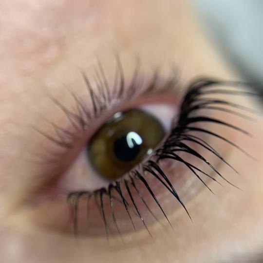 Mint Beauty Boutique #zagreb Trepavice Lash lift