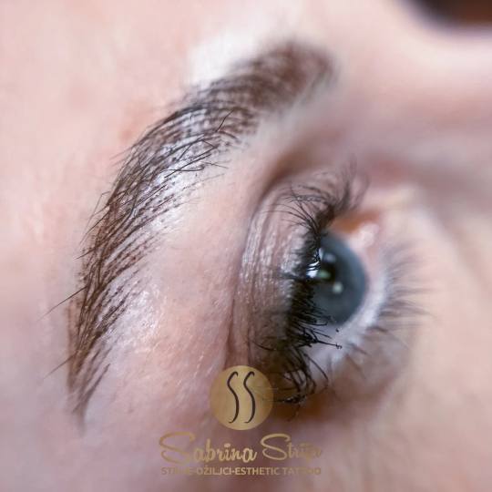 SABRINA STRIJA BEAUTY & SPA #zagreb Trajna šminka PMU realistic brows