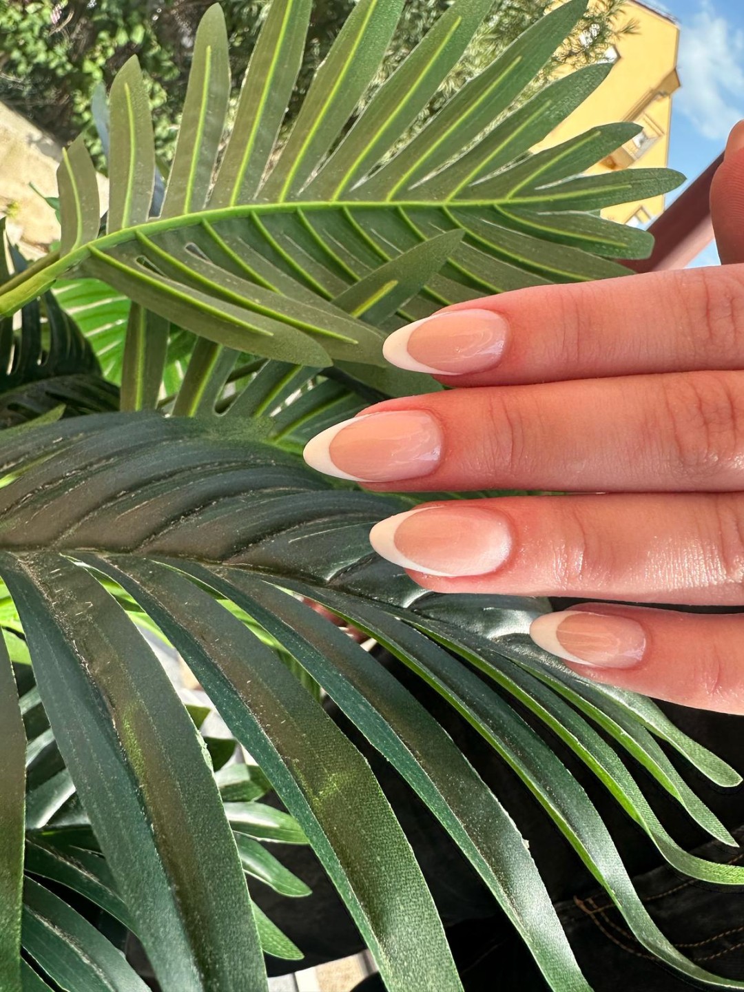 S M Beauty Bloom #zadar