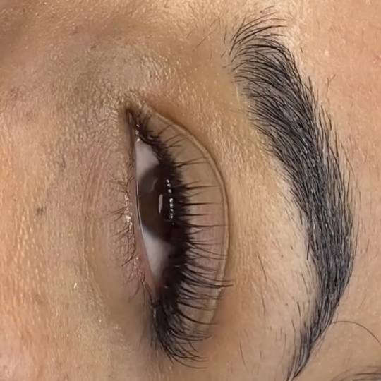 Nefertiti Studio usluga