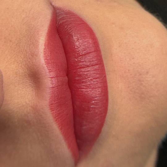 Vanja’s Beautique #zagreb Trajna šminka Trajna šminka usana + korekcija usana - do 60 dana