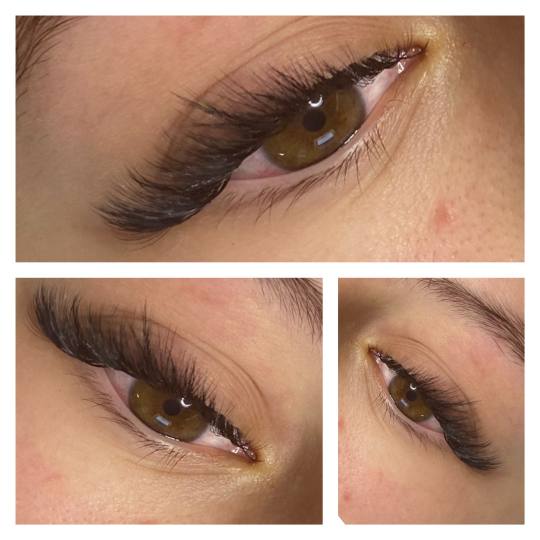 Lash and Brow studio usluga
