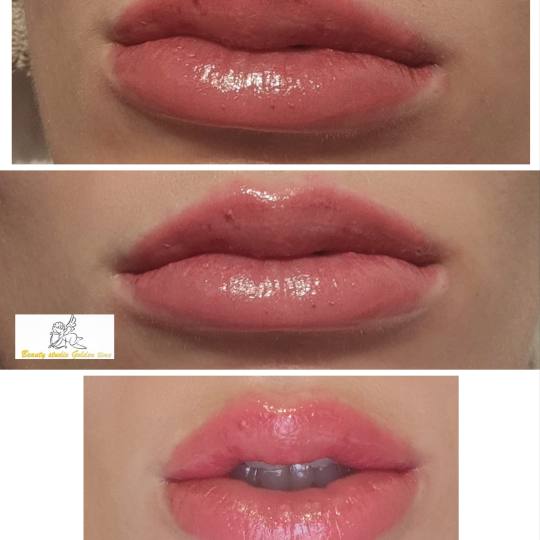 Beauty Studio Golden Time #zagreb Trajna šminka Trajna šminka - usne - full lip