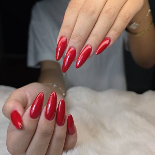 Daniva brow and beauty usluga