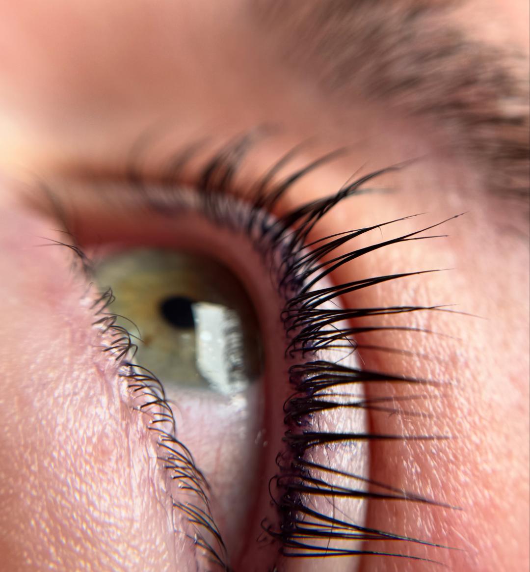 Alma #zapresic Trepavice Lash lift