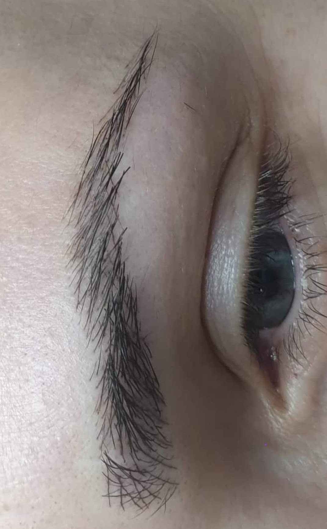 Cosmoderm & Centar Estetica #zagreb Trajna šminka Trajna šminka - iscrtavanje dlačica (hiper realistične obrve)