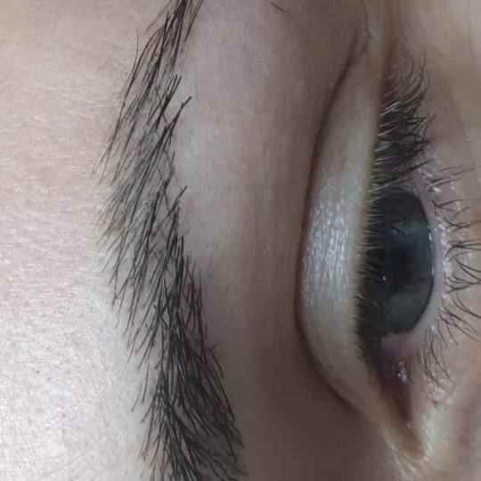 Cosmoderm & Centar Estetica #zagreb Trajna šminka Trajna šminka - iscrtavanje dlačica (hiper real