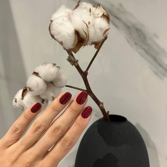 Beautyfly #zagreb Gel lak Trajni lak - ruke