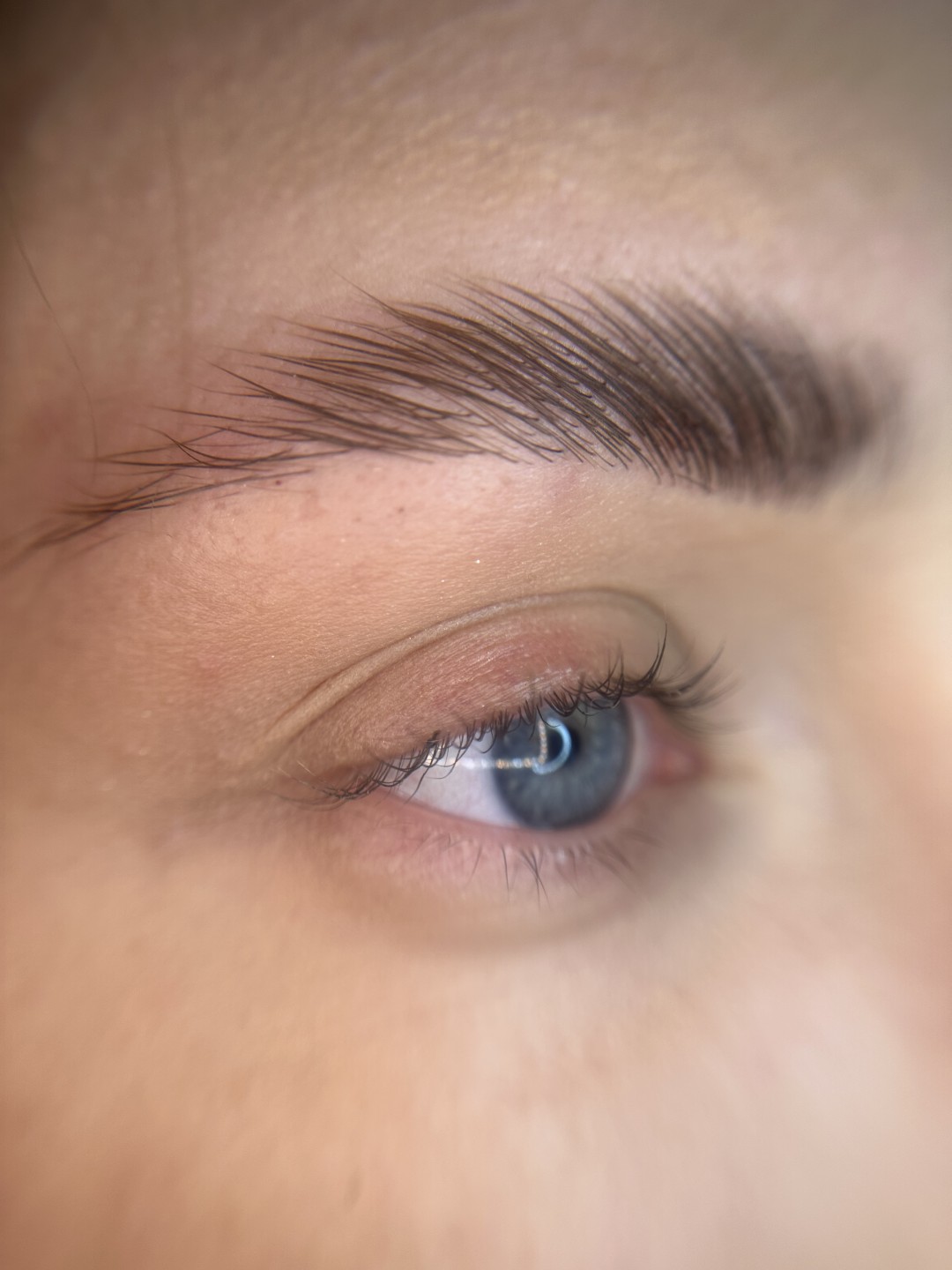 Brow lift - SABRINA STRIJA BEAUTY & SPA, Zagreb Obrve Lice Obrve, Zagreb, Novi Zagreb – zapad