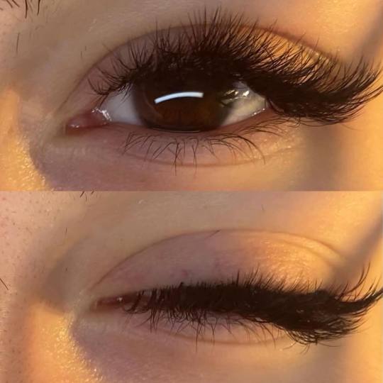 Lash and Brow studio #rogoznica Trepavice Volumenske ekstenzije trepavica 4D/6D - ugradnja Kako bi p