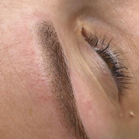 SABRINA STRIJA BEAUTY & SPA #zagreb Trajna šminka Trajna šminka - puder obrve Lice