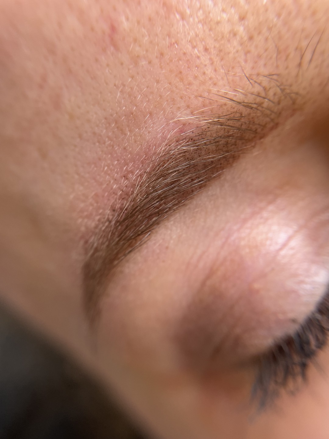 G. Beauty #zagreb Trajna šminka Puder obrve + korekcija