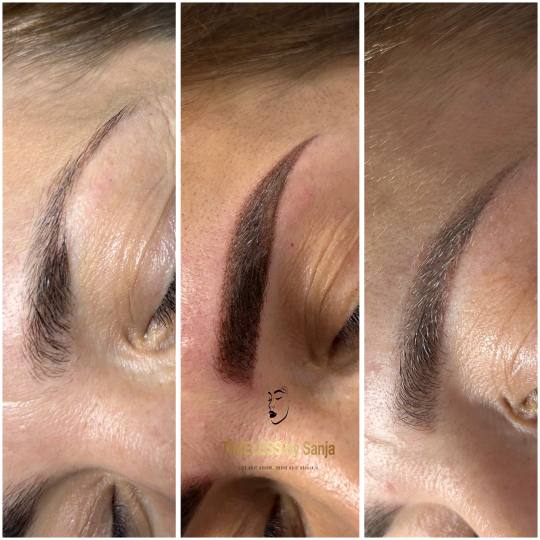 Timeless by Sanja #zagreb Trajna šminka Puder obrve / microblading