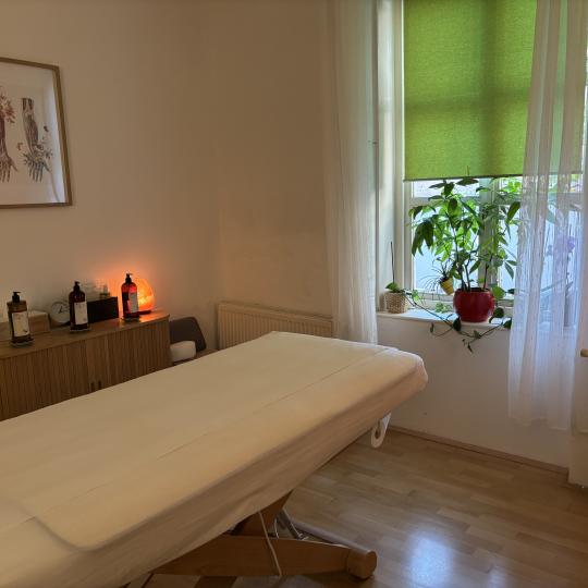 Corpus Sanum #zagreb