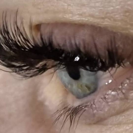 Beauty studio L #zagreb Nadogradnja trepavica Ugradnja volumenskih trepavica