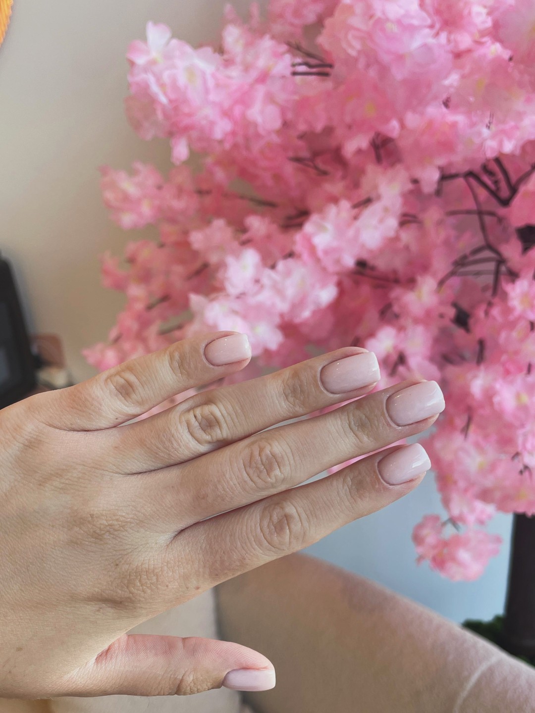 SABRINA STRIJA BEAUTY & SPA #zagreb Manikura Manikura + trajni lak