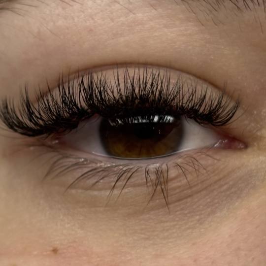 Sis Beauty Room #zagreb Nadogradnja trepavica Ugradnja volumenskih trepavica