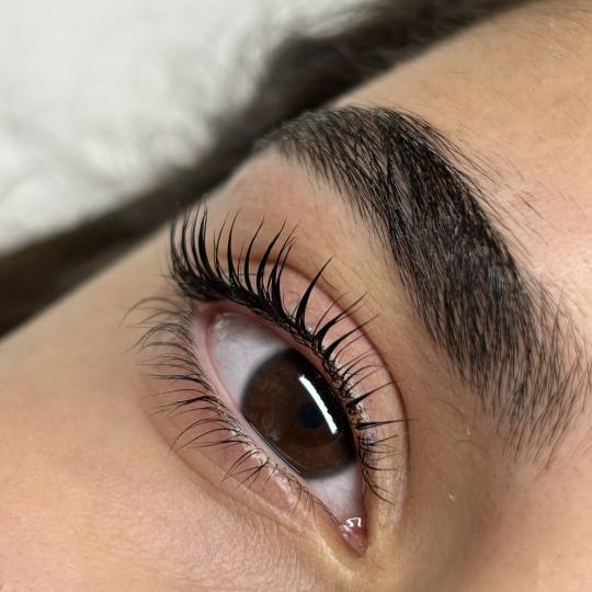 Zen Spot #zagreb Trepavice Lash lift + bojanje trepavica