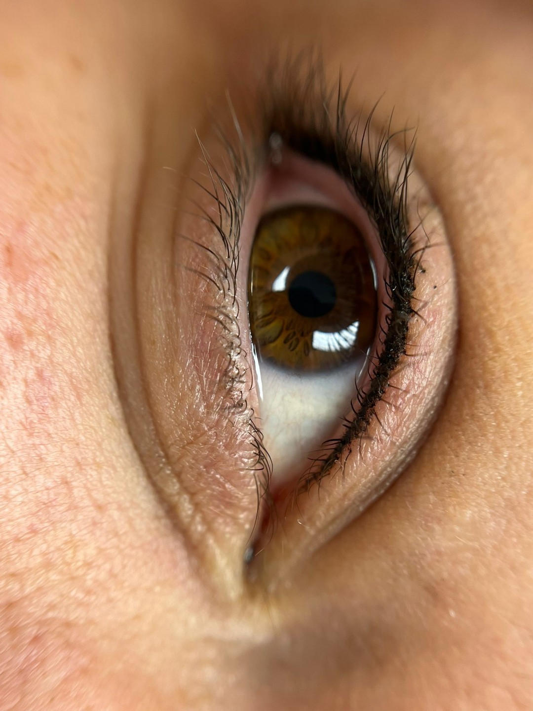 Brow Bar Permanent #zagreb Trajna šminka Trajna šminka - eyeliner