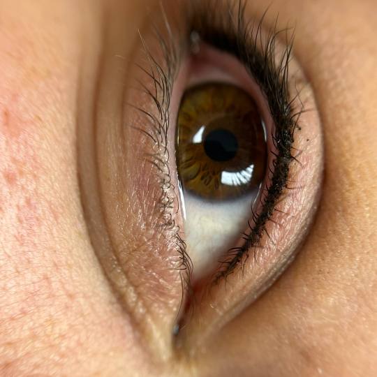 Brow Bar Permanent #zagreb Trajna šminka Trajna šminka - eyeliner