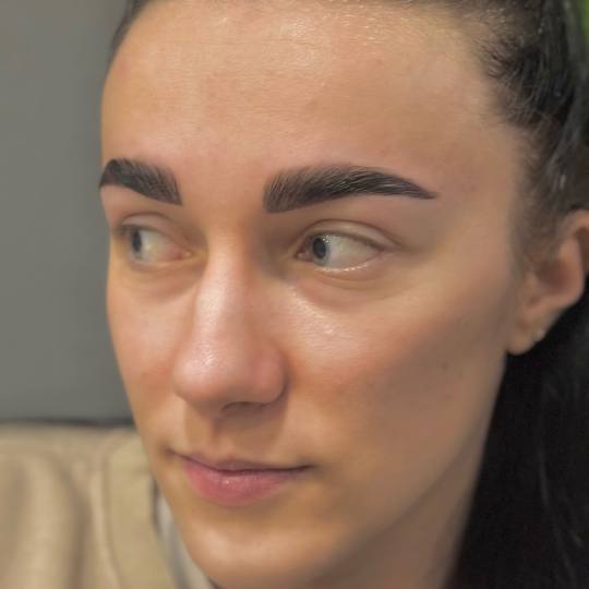 Style 1 #zagreb Obrve Brow lift + bojanje obrva + botox