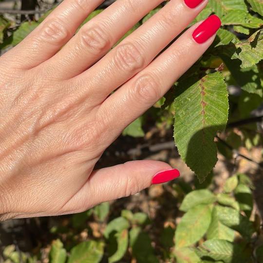 JOY Beauty Touch usluga