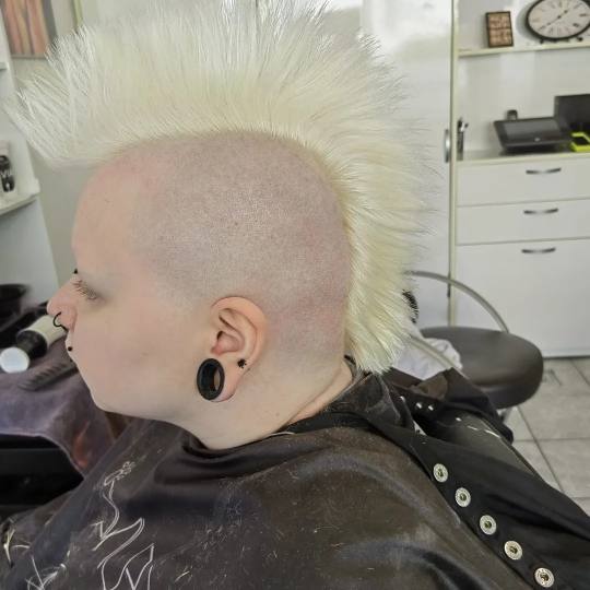 Wikleraj & Frajeraj #zagreb